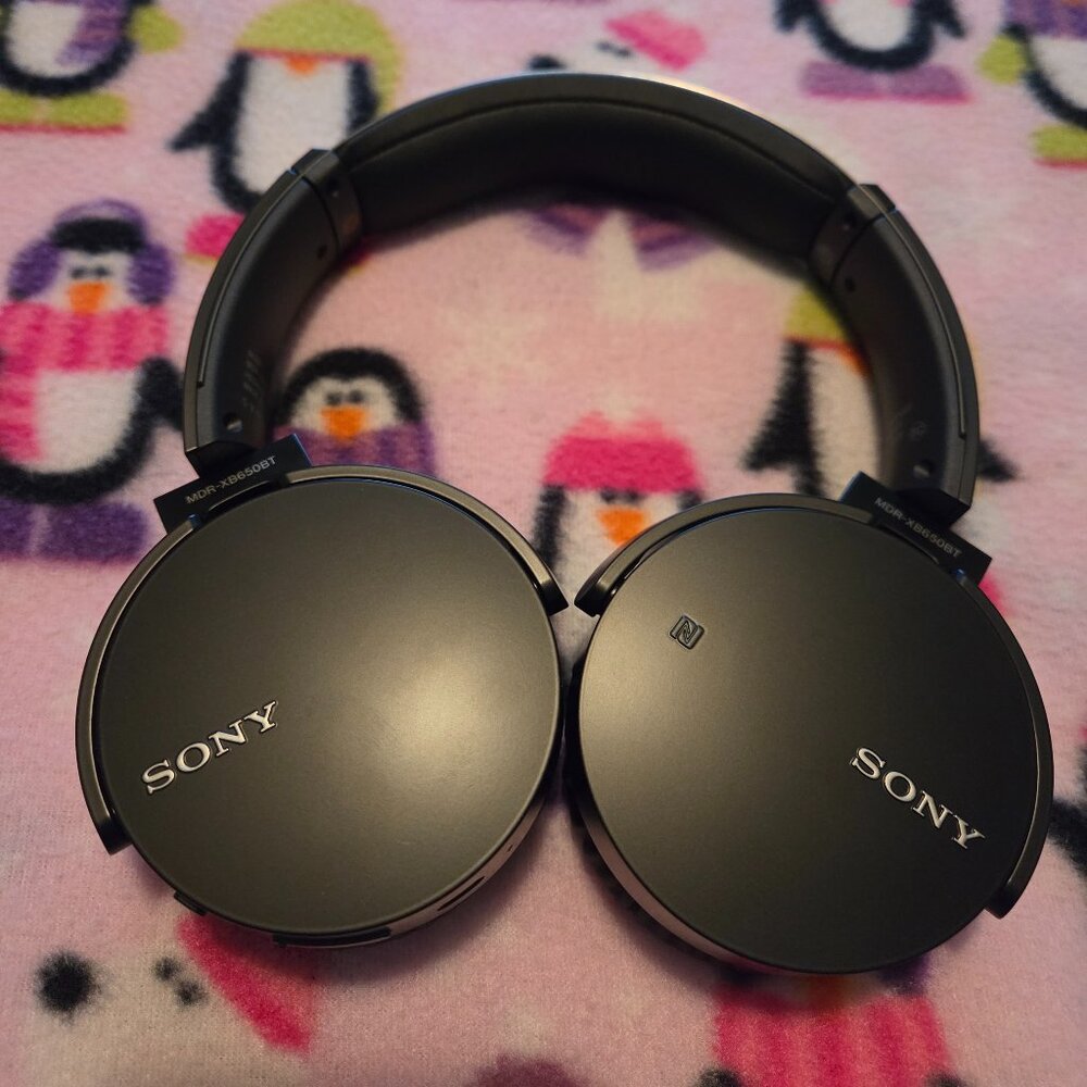 Sony Bluetooth Headphones